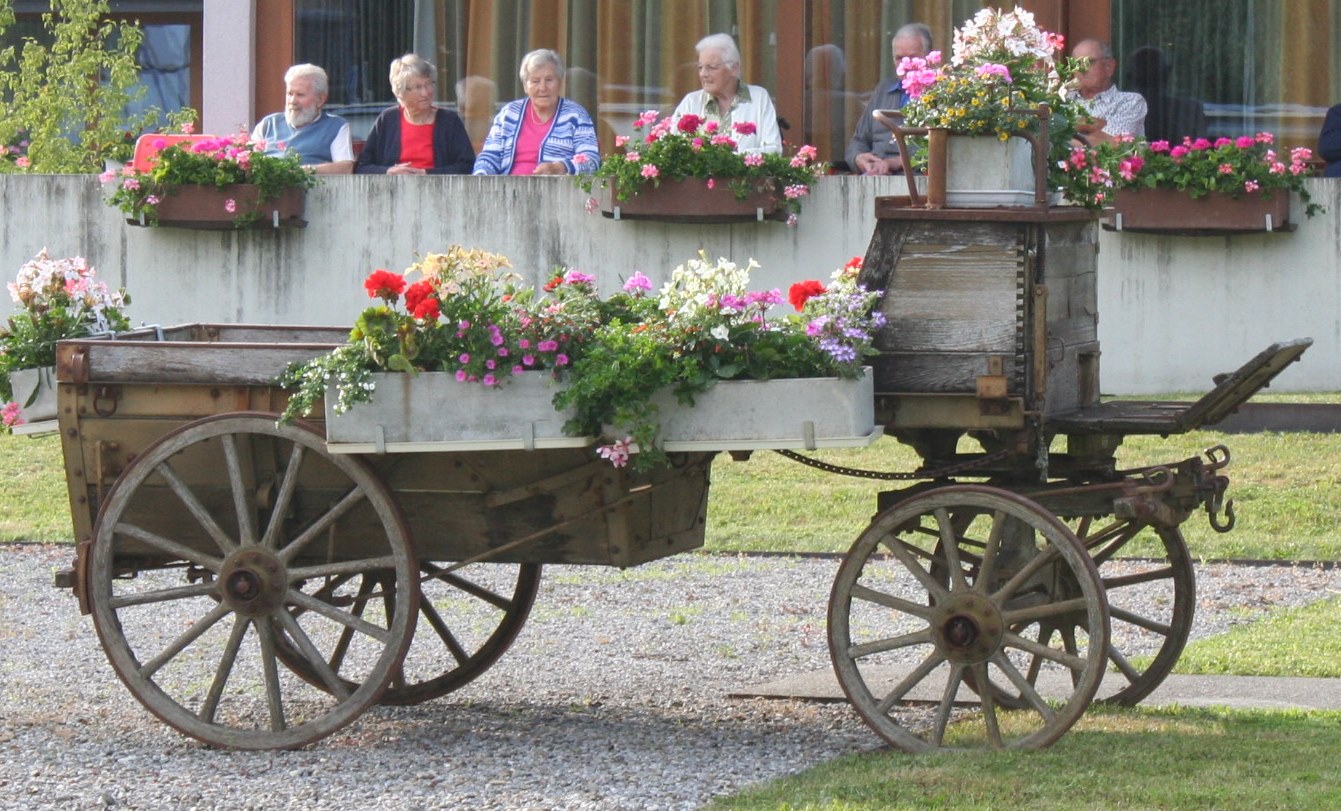 Mit Geranien geschmückter hölzerner Pferdewagen.