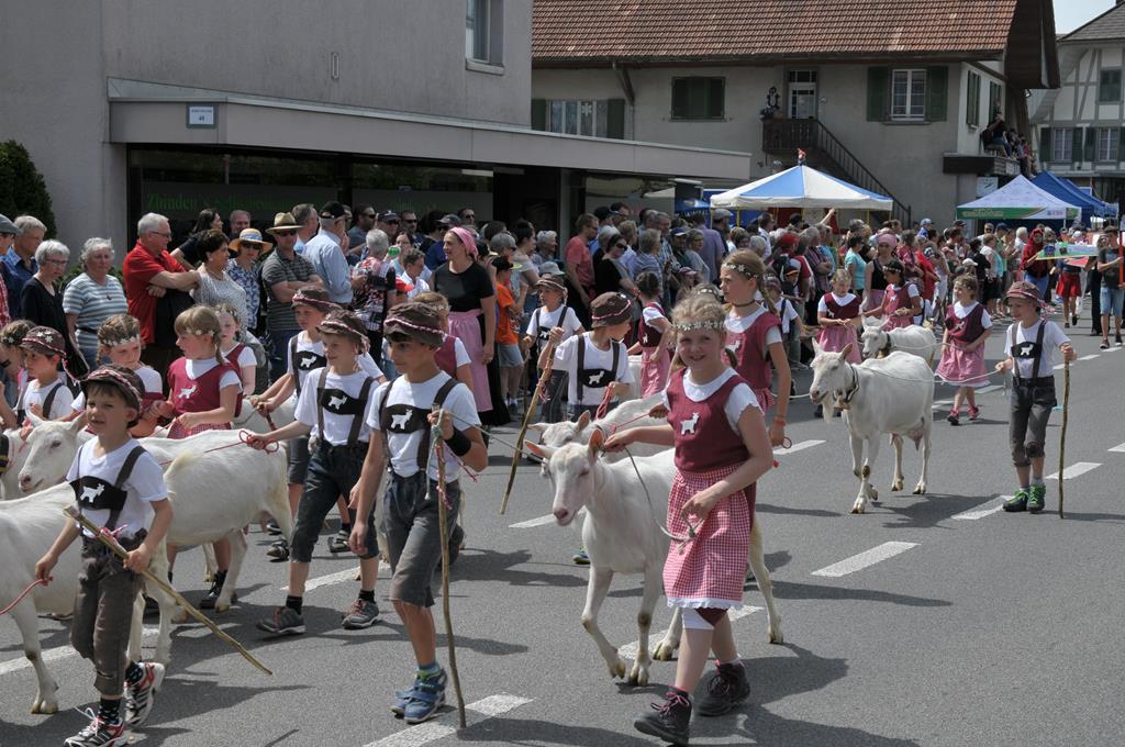 Kinder mit Ziegen (Sehen aus wie Heidi und Geissenpeter)